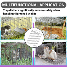 Kamrexi trap divider guides animals gently into transfer units.