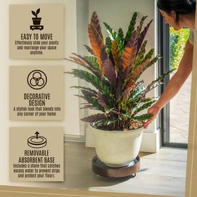 KANDOHAUS makes a thoughtful gift for plant lovers and new homes.