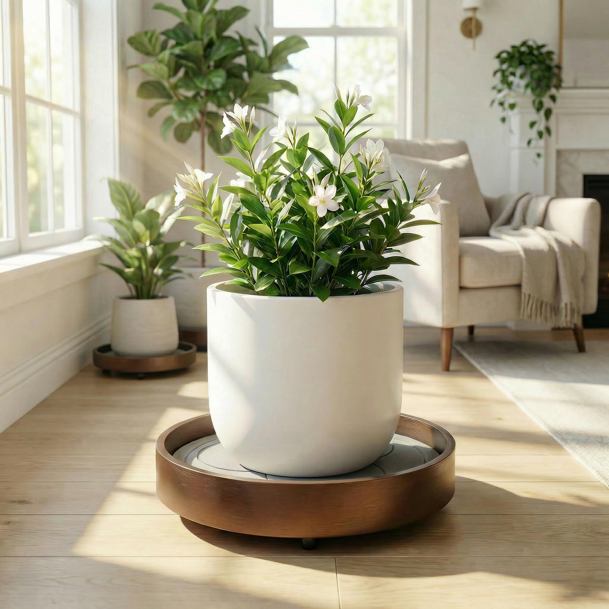 KANDOHAUS ideal for indoor plants in living rooms or offices.