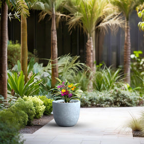 Kante 14-inch round concrete planter indoors, elevates living room greenery with smooth finish