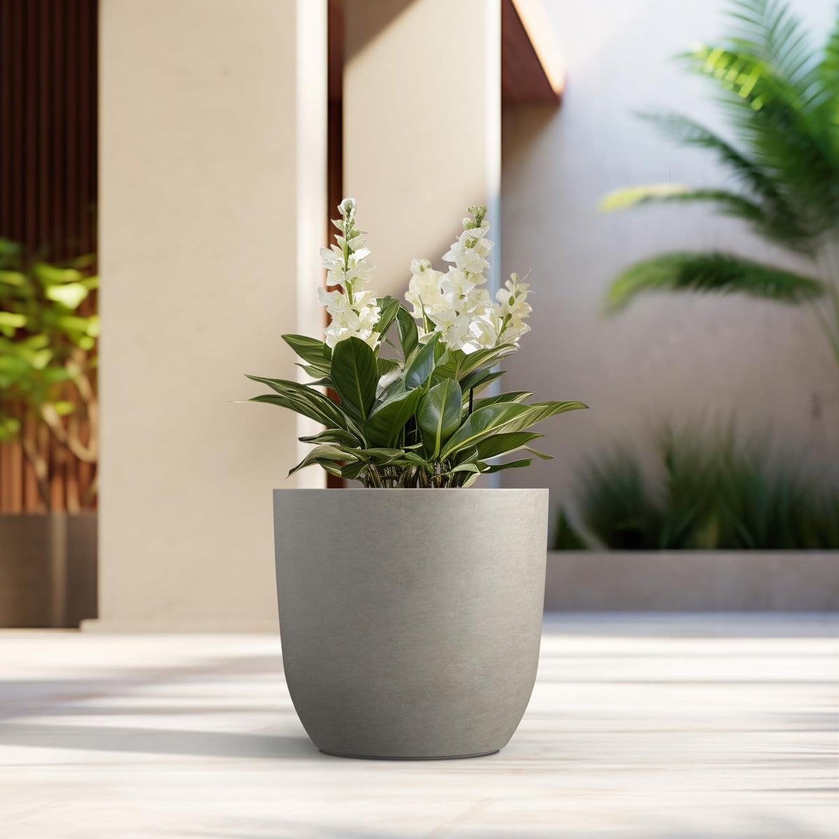 Kante 16.5-inch round concrete planter with plant demonstration of ample growing space.