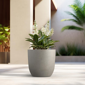 Kante 16.5-inch round concrete planter with plant demonstration of ample growing space.