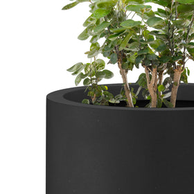 Kante sturdy concrete construction withstands wind, rain, and sun for year-round display.