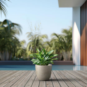 Kante planter with durable concrete-fiberglass blend and long-lasting color.
