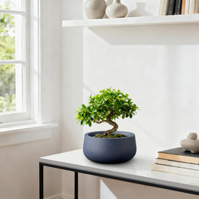 Kante indoor plants on a shelf using the round concrete planter