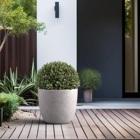 Kante light-gray concrete planter designed for modern interiors and patios.