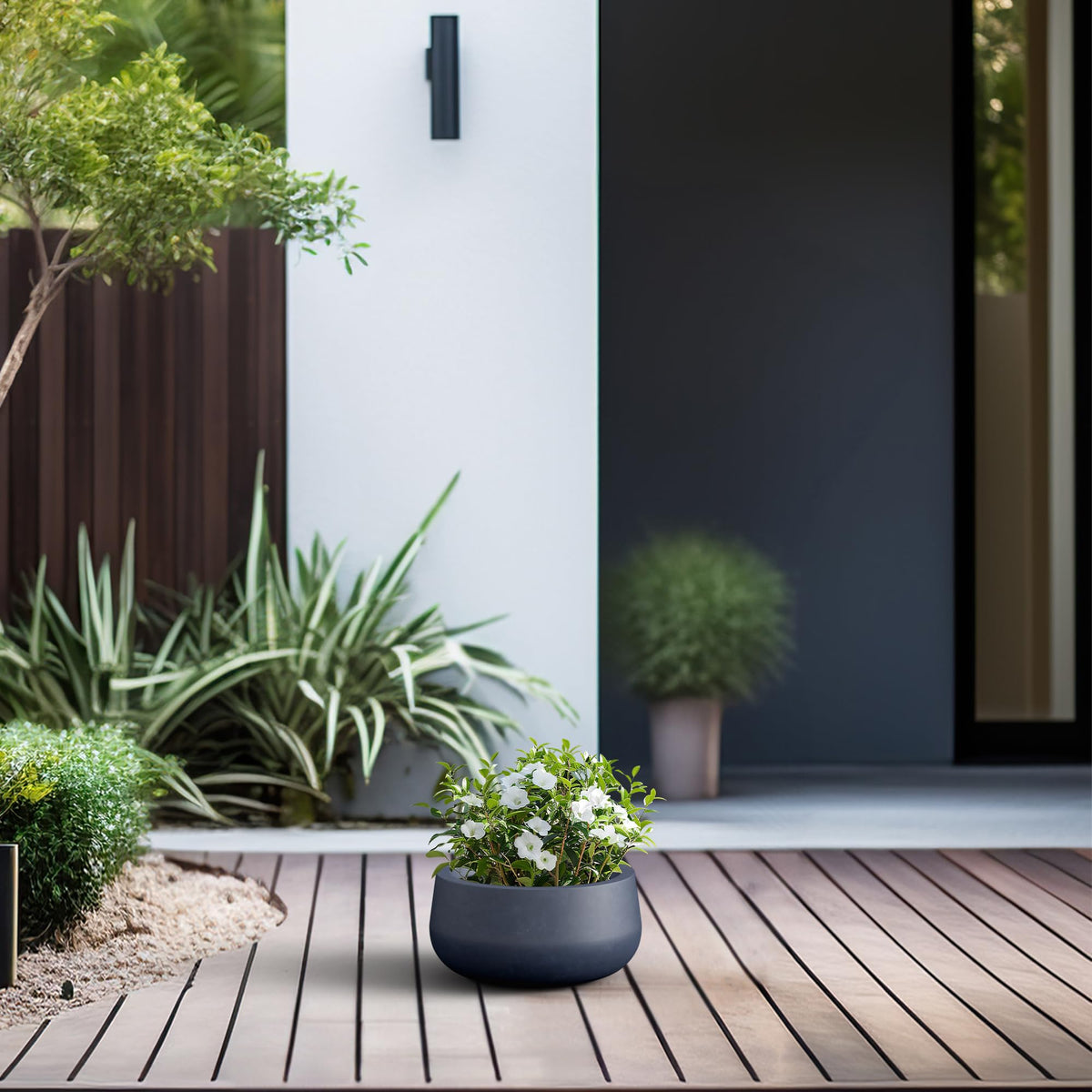 Kante planter ideal for succulents, flowers, and mixed plantings
