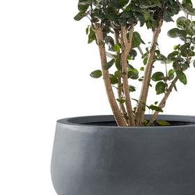 Weather-resistant Kante planter endures sun, wind, and rain