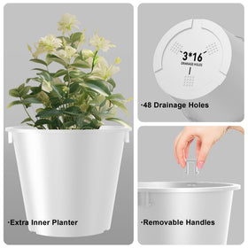 Kante 18-inch height accommodates trees, succulents, and flowers.
