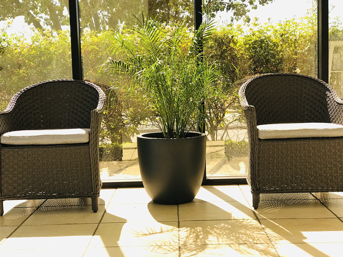 Kante 18inch round planter row display shows cohesive garden alignment