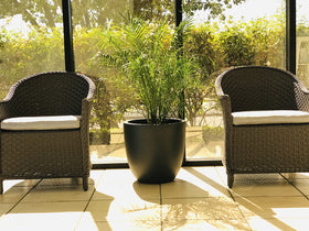 Kante 18inch round planter row display shows cohesive garden alignment