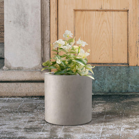 Kante round concrete planter indoors, accenting modern living spaces.
