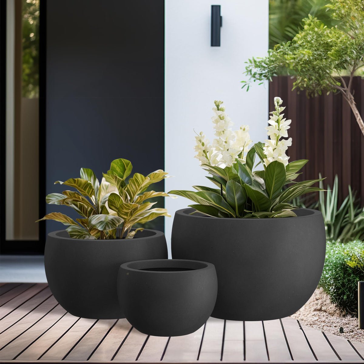 Kante round concrete planter set 3 size comparison shows versatile planting