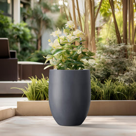 Kante round concrete planter with smooth finish for modern interiors