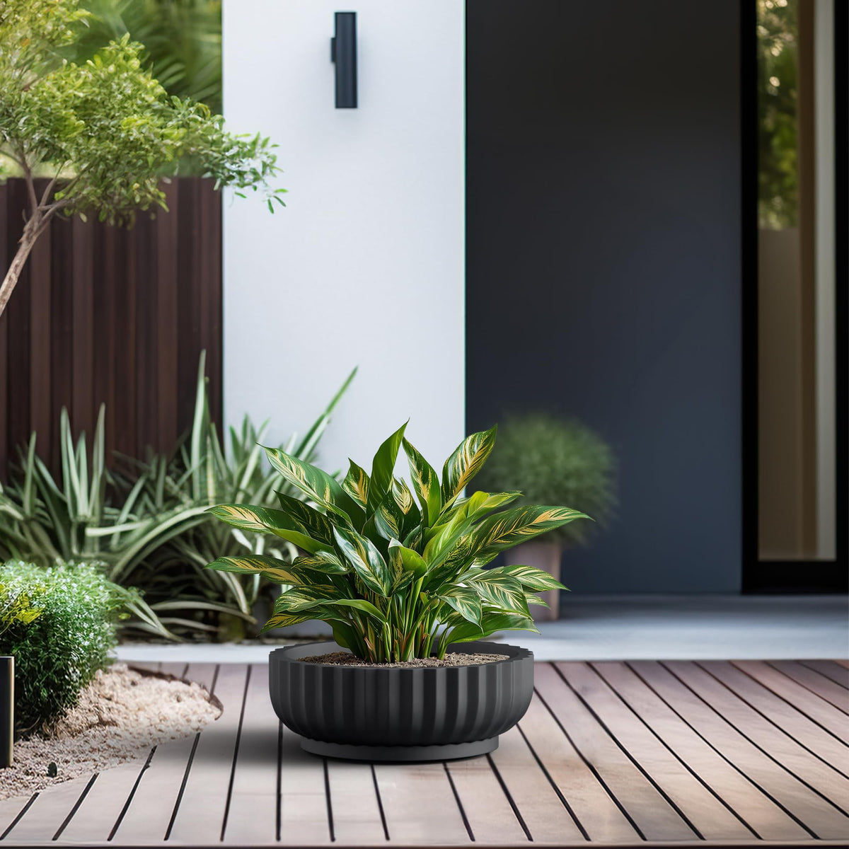 Kante spacious planter fits succulents, flowers, and small trees.