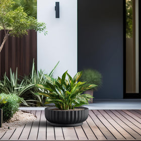 Kante spacious planter fits succulents, flowers, and small trees.