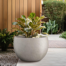 Kante spacious planter suitable for trees, succulents, or flowers