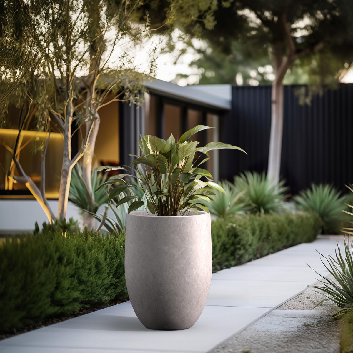 Kante planter with broad interior for trees, shrubs, or large flowers.