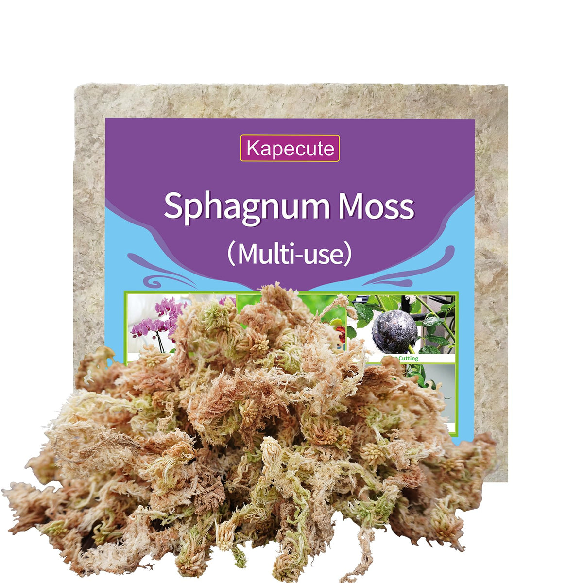 Kapecute sphagnum moss brick (5oz) ready to soak for propagation