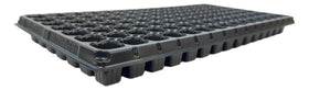 Kapok Candle Co 105-cell tray closeup shows drainage holes and healthy root air pruning.