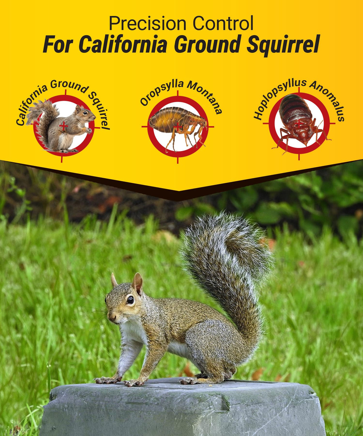 Kaput ground squirrel bait outdoor application in yard for protection.