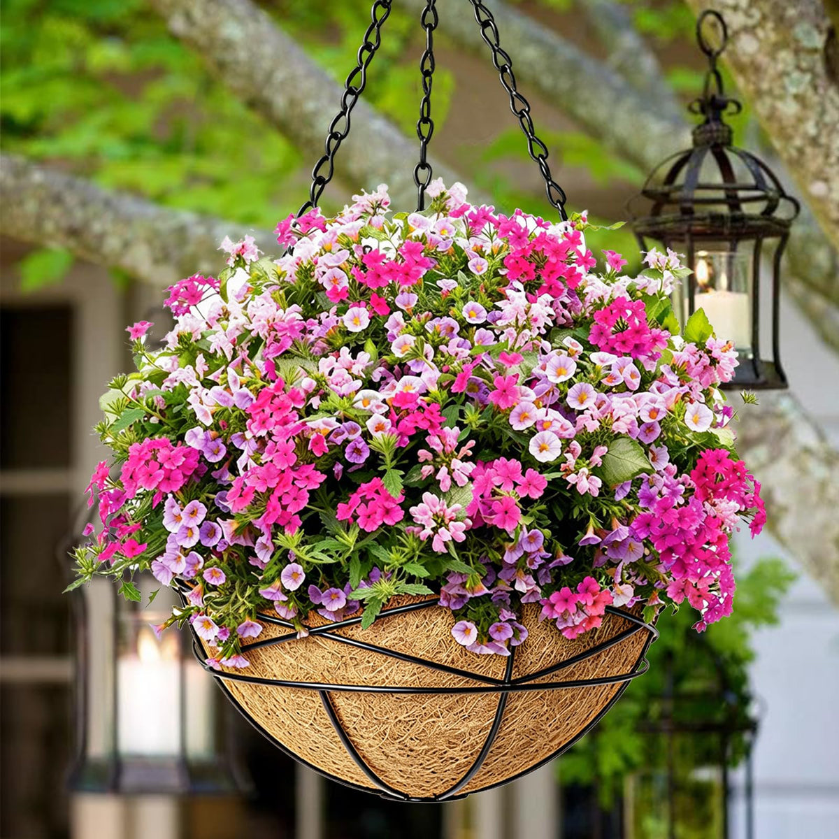 Karlliu coco liner inside promotes airflow and moisture balance for healthy plants.