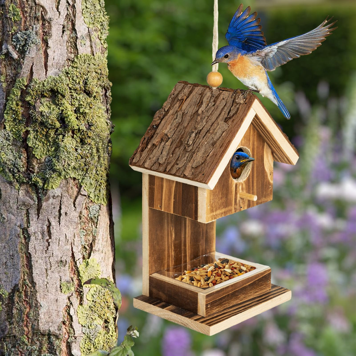 Karlliu hummingbird entry 1.25 inch helps tiny birds access safely.