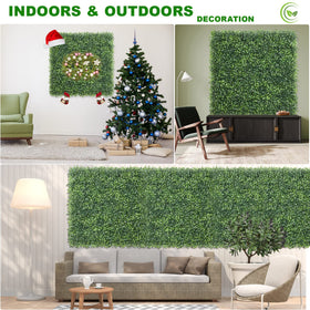 KASZOO all-in-one greenery box ready for setup