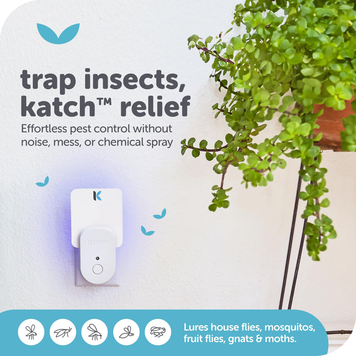 KATCHY two-pack plug-in fly trap designed for multi-room pest control.