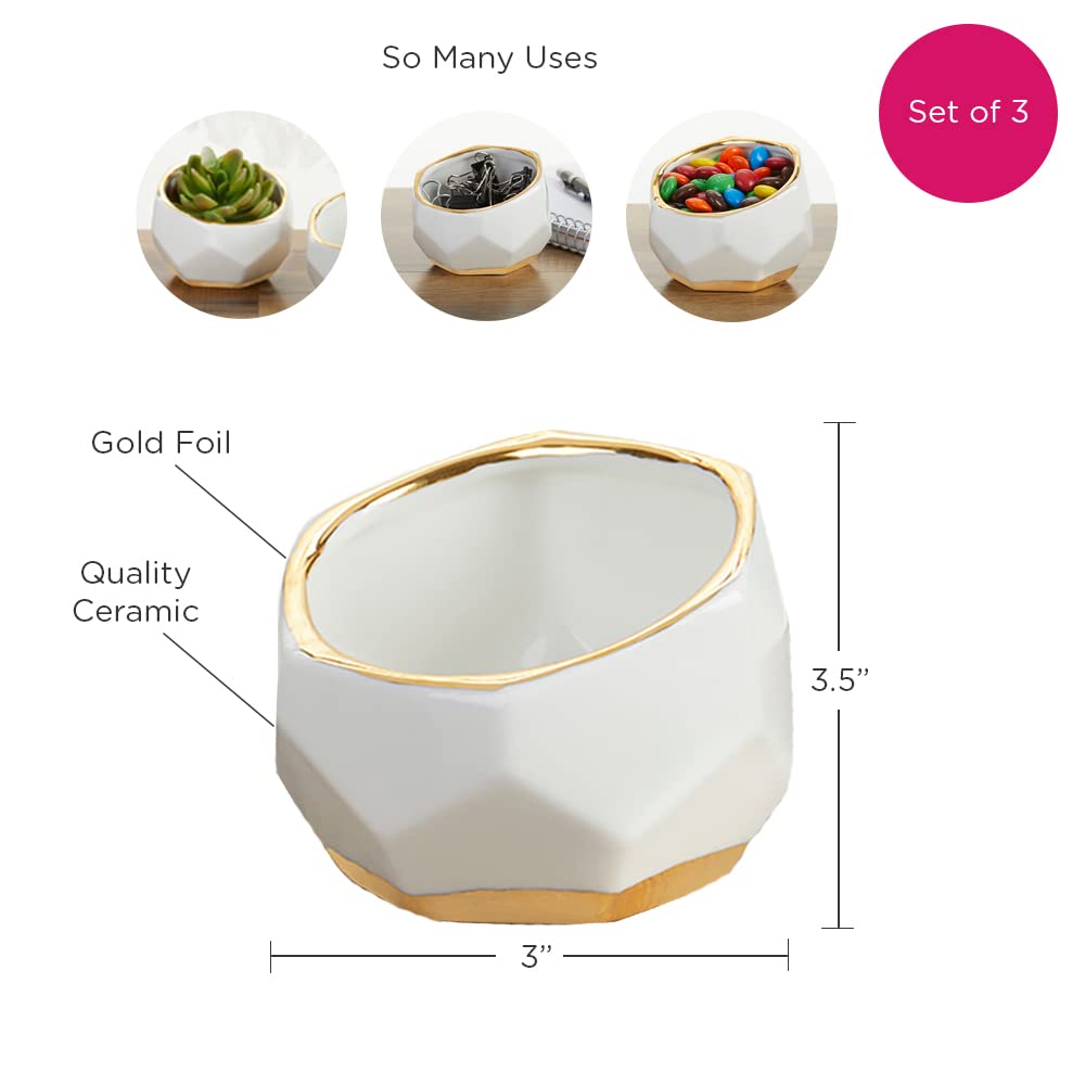 Kate Aspen compact planters make a thoughtful hostess gift option.
