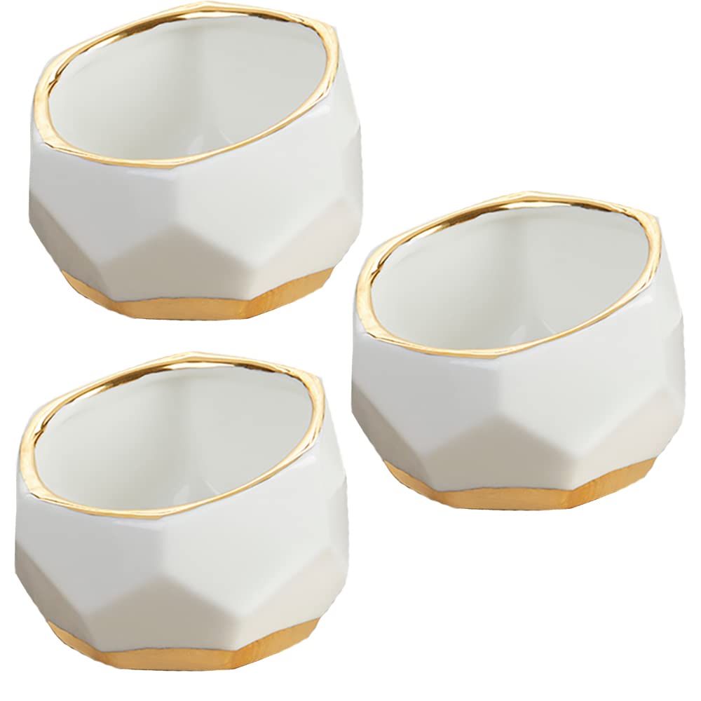 Kate Aspen geometric ceramic planter with a succulent, ideal for compact desk decor.