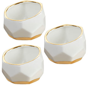 Kate Aspen geometric ceramic planter with a succulent, ideal for compact desk decor.