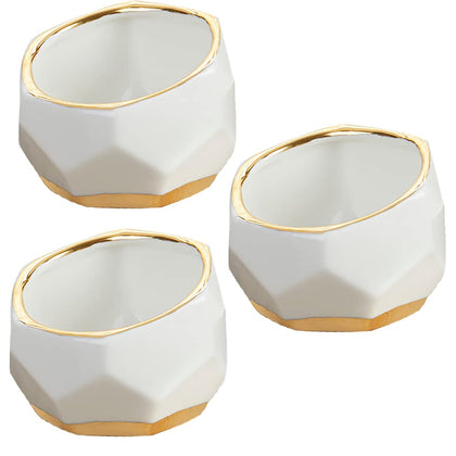 Kate Aspen geometric ceramic planter with a succulent, ideal for compact desk decor.