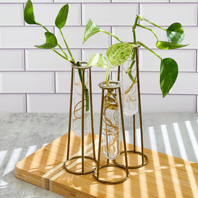 Kate Aspen propagation station with gold stand as a stylish indoor plant centerpiece.