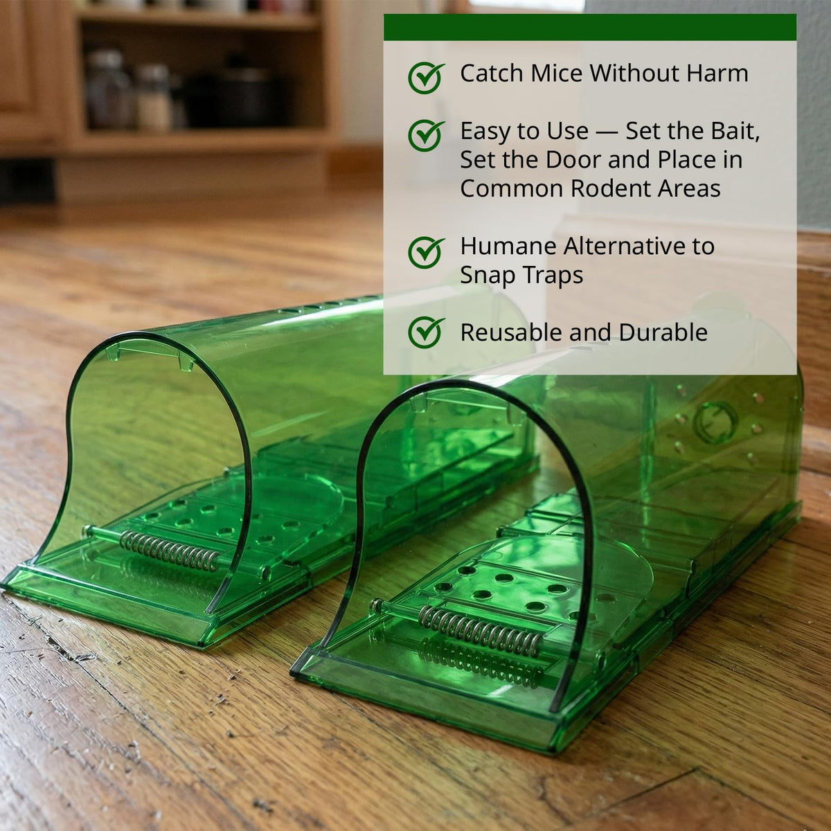 Kate's Home and Garden 2-pack set ideal for kitchen or garage safe rodent control.