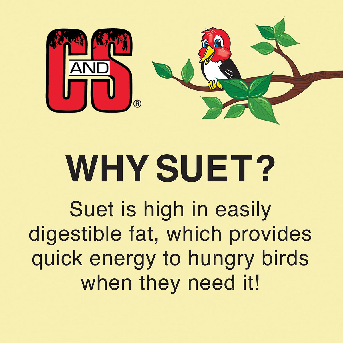 Birds enjoy Kaytee Orange Harvest Suet Dough at the feeder, attracting visits.