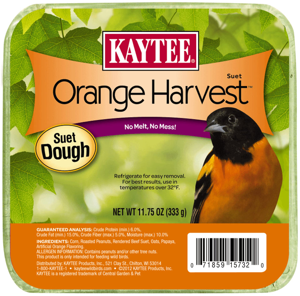 Kaytee Orange Harvest Suet Dough block in feeder provides year‑round energy.