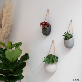 Kazai Ellie display idea on a narrow wall creates a living wall.