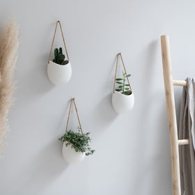 Kazai Ellie planters arranged on a living wall for modern interior decor.
