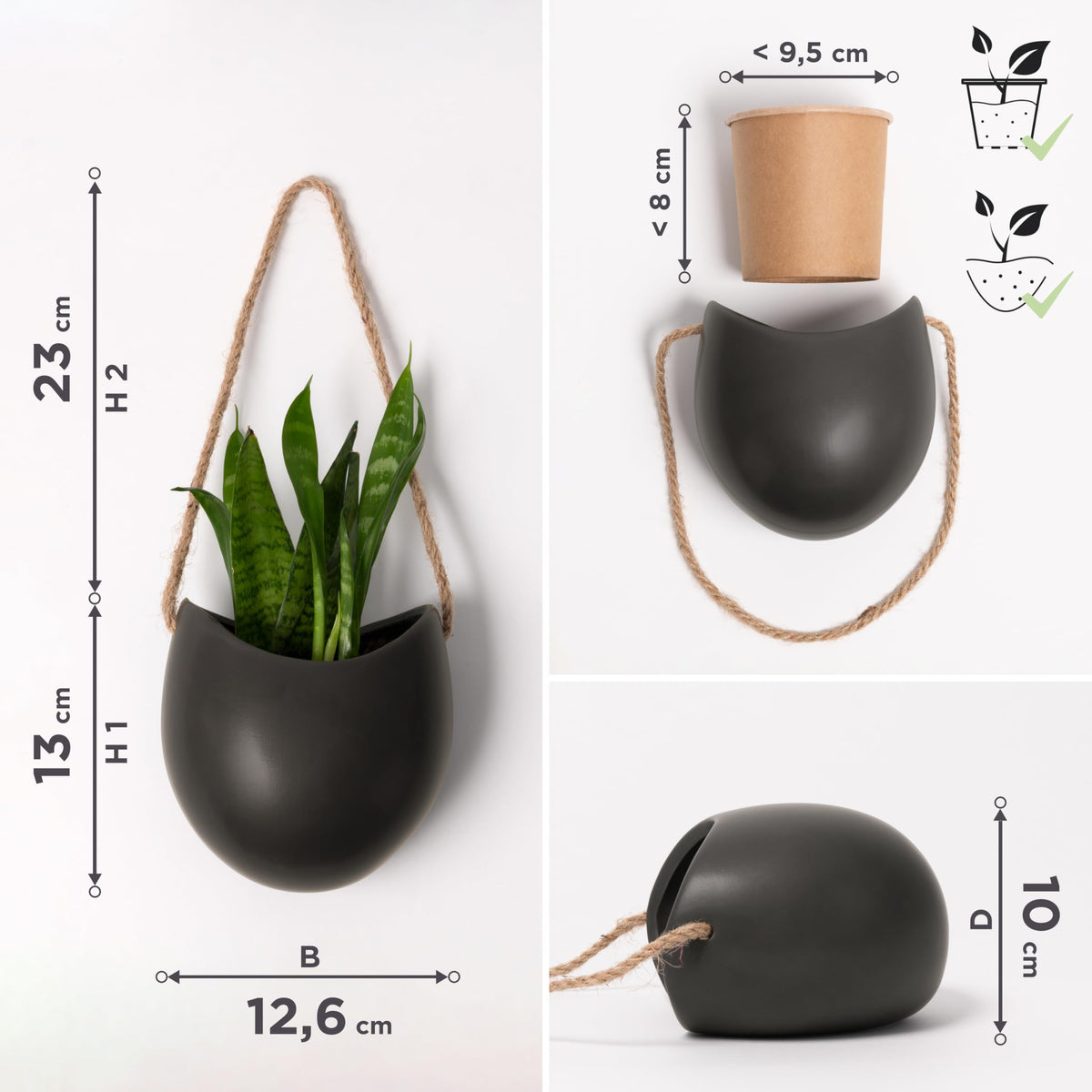 Kazai Ellie planters perfect for succulents, air plants, or small greenery.