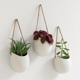 Kazai Ellie cream matte wall planters hanging display showing compact three-piece set