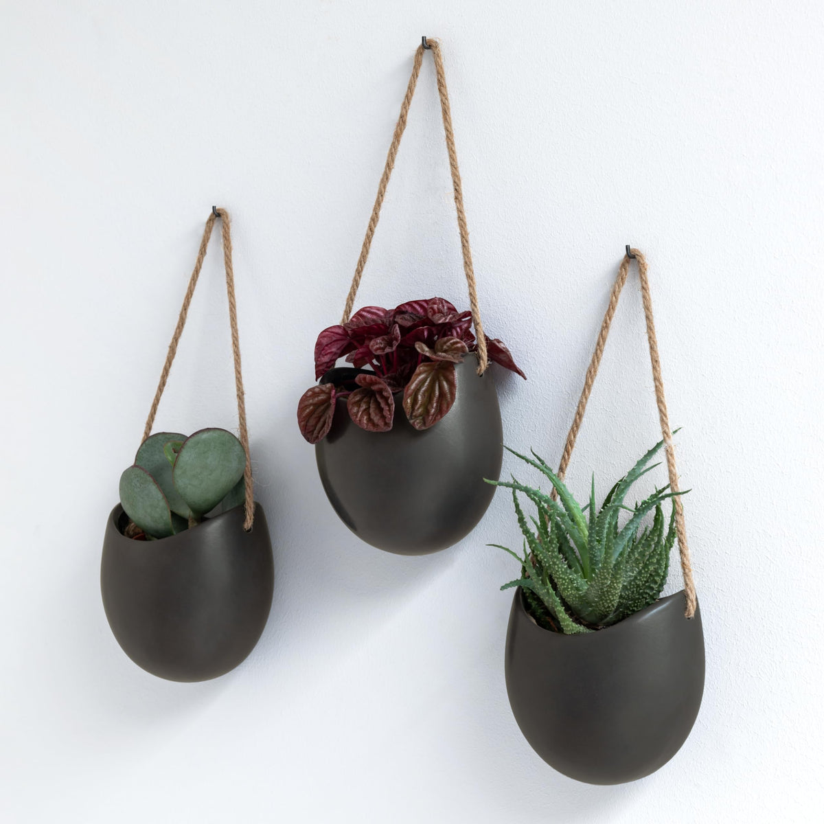 Kazai Ellie wall planters in graphite matte finish for a sleek indoor display.