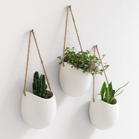 Kazai Ellie front view of compact wall planters for small spaces.