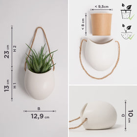 Ellie planters suitable for succulents air plants and small greens