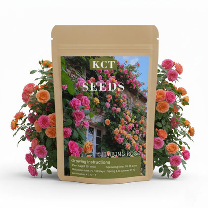 KCT GARDEN 200+ climbing rose seeds pack for rapid vertical growth and bloom potential