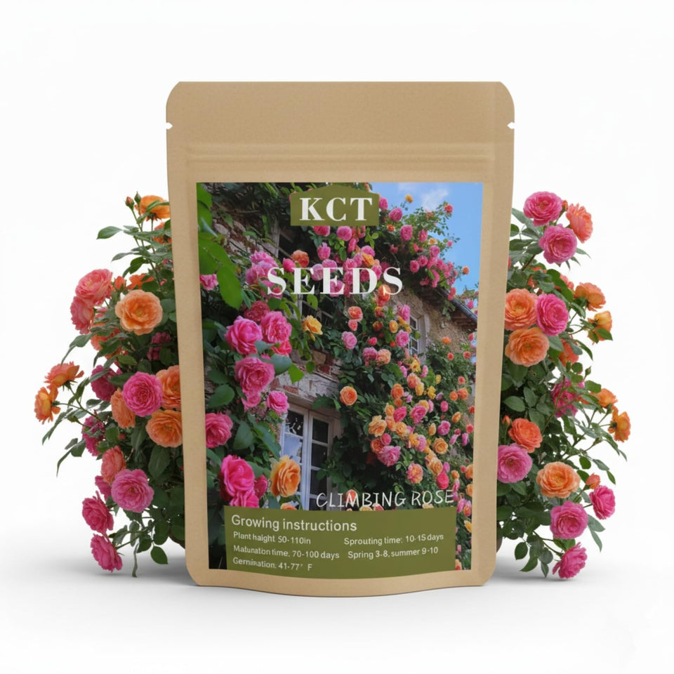 KCT GARDEN 200+ climbing rose seeds pack for rapid vertical growth and bloom potential