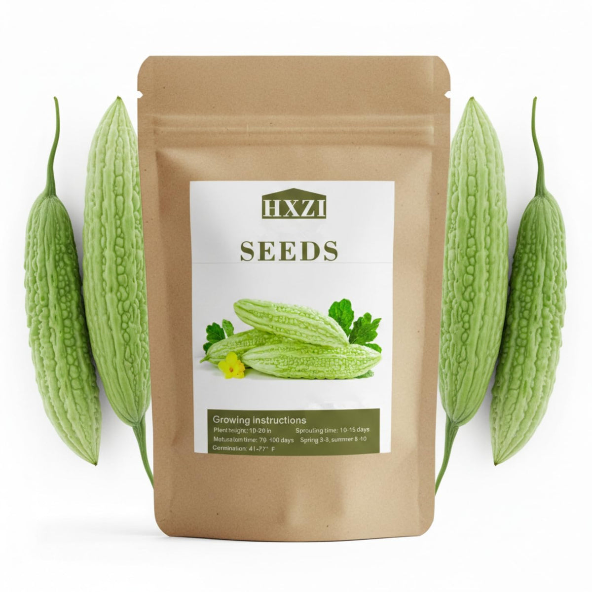 KCT GARDEN ampalaya seeds in a 40-count pack ready for sowing