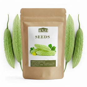 KCT GARDEN ampalaya seeds in a 40-count pack ready for sowing
