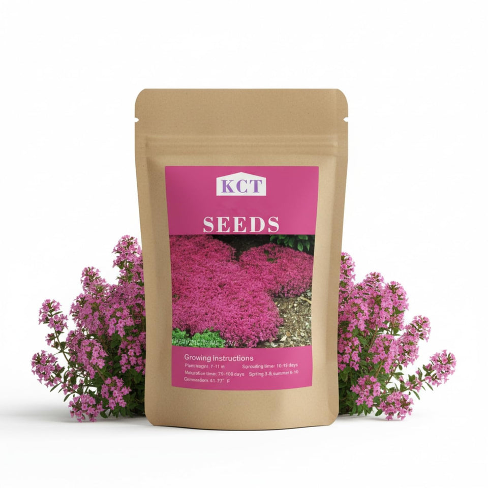 KCT GARDEN creeping thyme seeds packet closeup for wide border planting.