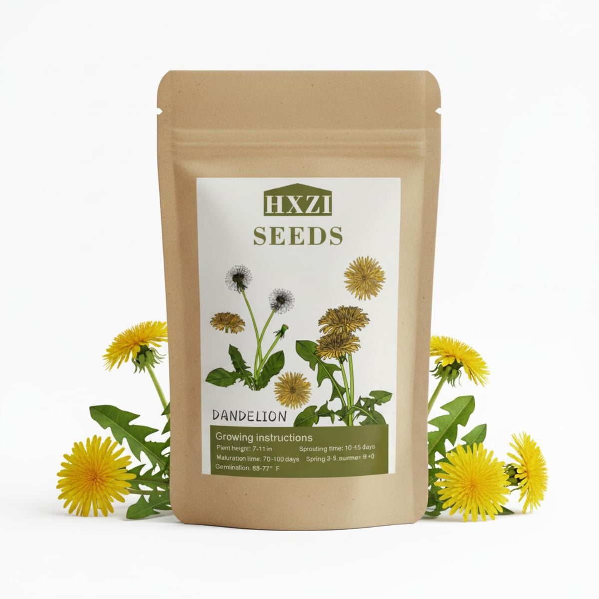 KCT GARDEN dandelion seeds bulk pack ready for planting.